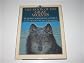The Moon of the Gray Wolves (The Thirteen Moons Series)