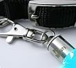 Pet Blinker Dog Safety Lights - Large (Red White & Blue)