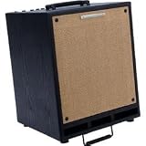 Ibanez T80 80W 2x8 Troubadour Acoustic Combo Amp (Standard)