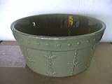 Signature Sorrento Small 6-Inch Pet Bowl, Green