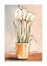 White Tulips by Vitor Vivaldi Fine Art Print / Poster 19.75 x 27.50 in.