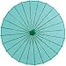 Robin Egg 28 Inch Paper Parasol