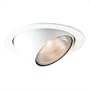 Eurofase TR-P403-02 4-Inch PAR20 Eyeball Trim,White