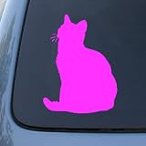 AMERICAN SHORTHAIR - Cat - Vinyl Decal Sticker #1486 | Vinyl Color: Pink