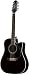 Takamine EF-381C 12-String Acoustic Electric Cutaway Guitar