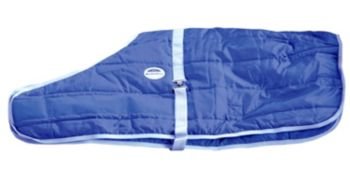 WeatherBeeta Weanling Blanket 42-57 Royal/Wisteria