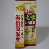 生葉口内塗薬 20gの画像