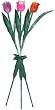 3PC Tulip Solar Stake Light