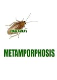 Kafka`s Metamorphosis