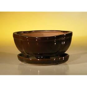 Bonsai Boy's Ceramic Bonsai Pot With Attached Humidity/Drip tray- Oval6.37" x 4.75" x 2.625"
