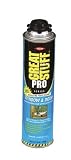 Pro Window & Door Foam 20 oz Gun
