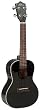 Lanikai LU-21CEBK Concert Ukulele w/ Pickup, Black Finish