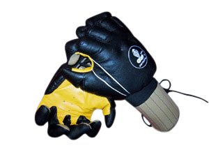 Jeet Kune Do Gloves