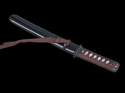 Hand Forged 10 Folded 1024 Layer Functional Tanto sword #131