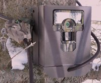 Security Box to Fit Moultrie M80 Game Camera