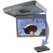Directed Video OHD1202 - DVD player / LCD monitor