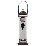 South Carolina Gamecocks NCAA Bird Feeder