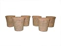 Greenhouse Collection Small Hot House Pots (Set of 6)