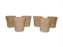 Greenhouse Collection Small Hot House Pots (Set of 6)