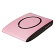 SimpleTech Signature Mini FS-U25/250BG 250 GB USB 2.0 Portable Hard Drive (Bubblegum)