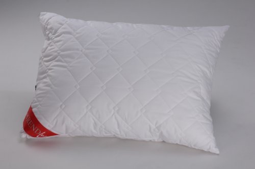 Badenia Bettcomfort 03875418115 Kissen Trendline Basic Kochfest 60 x 80 cm, wei&szlig;