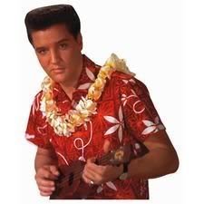 Elvis Hawaii Die-Cut Photographic Magnet