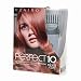 Health & Personal Care : Clairol Nice n Easy Perfect 10 Permanent Hair color, #8RB Medium Reddish Blonde - Kit