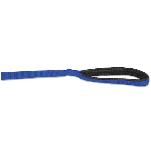 Ancol Padded Nylon Lead Blue 1.8mx25mm