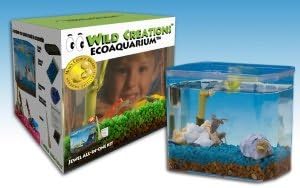 Wild Creations Ecoaquarium