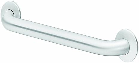 Stainless Grab Bar,16 Inch