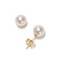 14k Yellow Gold 6.5x7mm AAA Akoya Cultured Pearl Earrings