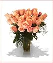 36 Perfect Pink Roses