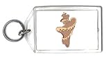 Keychain with shell, conch, snail, seashell