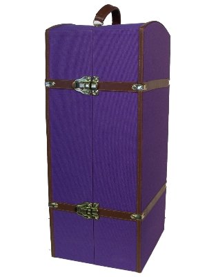 Canvas Doll Trunk - Fits American Girl Doll, Bitty Baby, and My Twin Dolls FREE SHIPPING