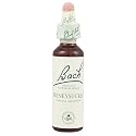 Bach Original Flower Remedies - Honeysuckle 20mls (Lonicera caprifolium)