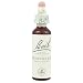 Bach Original Flower Remedies - Honeysuckle 20mls (Lonicera caprifolium)