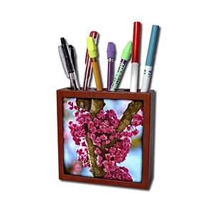 WhiteOak Photography Floral Prints - Small batch of pink flowers on tree - Tile Pen Holders-5 inch tile pen holder