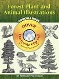 Forest Plant And Animal Illustrations (Dover Electronic Clip Art)