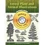 Forest Plant and Animal Illustrations (Dover Electronic Clip Art)