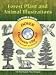 Forest Plant and Animal Illustrations CD-ROM and Book (Dover Electronic Clip Art)