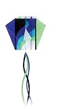 Go Fly A Kite Ice Pocket Parafoil Kite