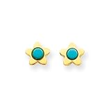 14k Gold Polished Turquoise Star Post Ear