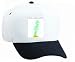 White Cap with plant, aquarium