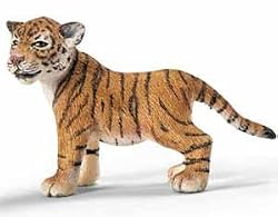 Tiger Cub Standing