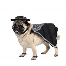 Dogs Zorro halloween costume