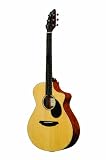 Breedlove Passport Plus C250/SB Guitar