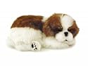 Perfect Petzzz Shih Tzu - Breathing Look Like LIVE animal