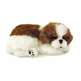 Perfect Petzzz Shih Tzu - Breathing Look Like LIVE animal by 