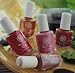 WaterColors Non-Peel Off Polish, Camelot .5 oz by Honeybee Gardens
