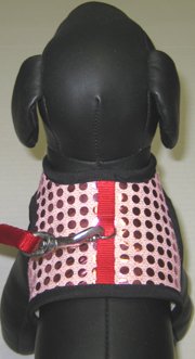 Purple reflective Dots Soft Dog/Cat Harness/Leash Combo *X-Small*